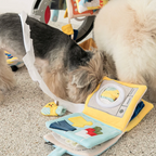 Biteme Nosework Playbook - Laundry Day/Baking Day/Good Night