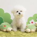 Biteme Jumping Boogie Auto-Ball Toy - Turtle
