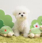 Biteme Jumping Boogie Auto-Ball Toy - Turtle