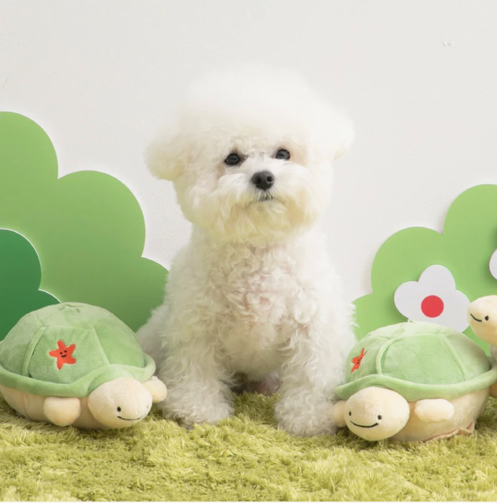 Biteme Jumping Boogie Auto-Ball Toy - Turtle