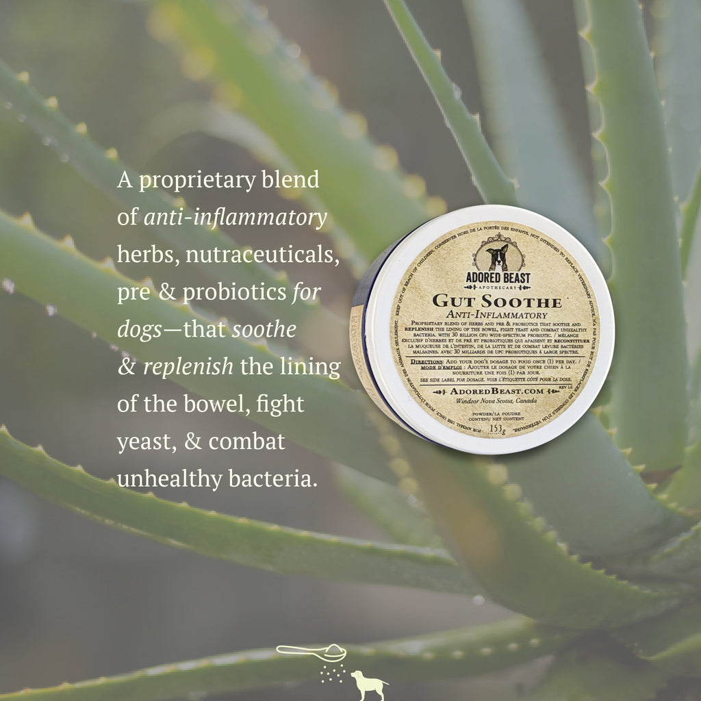 Adored Beast Gut Soothe - Anti-Inflammatory (52g/153g)