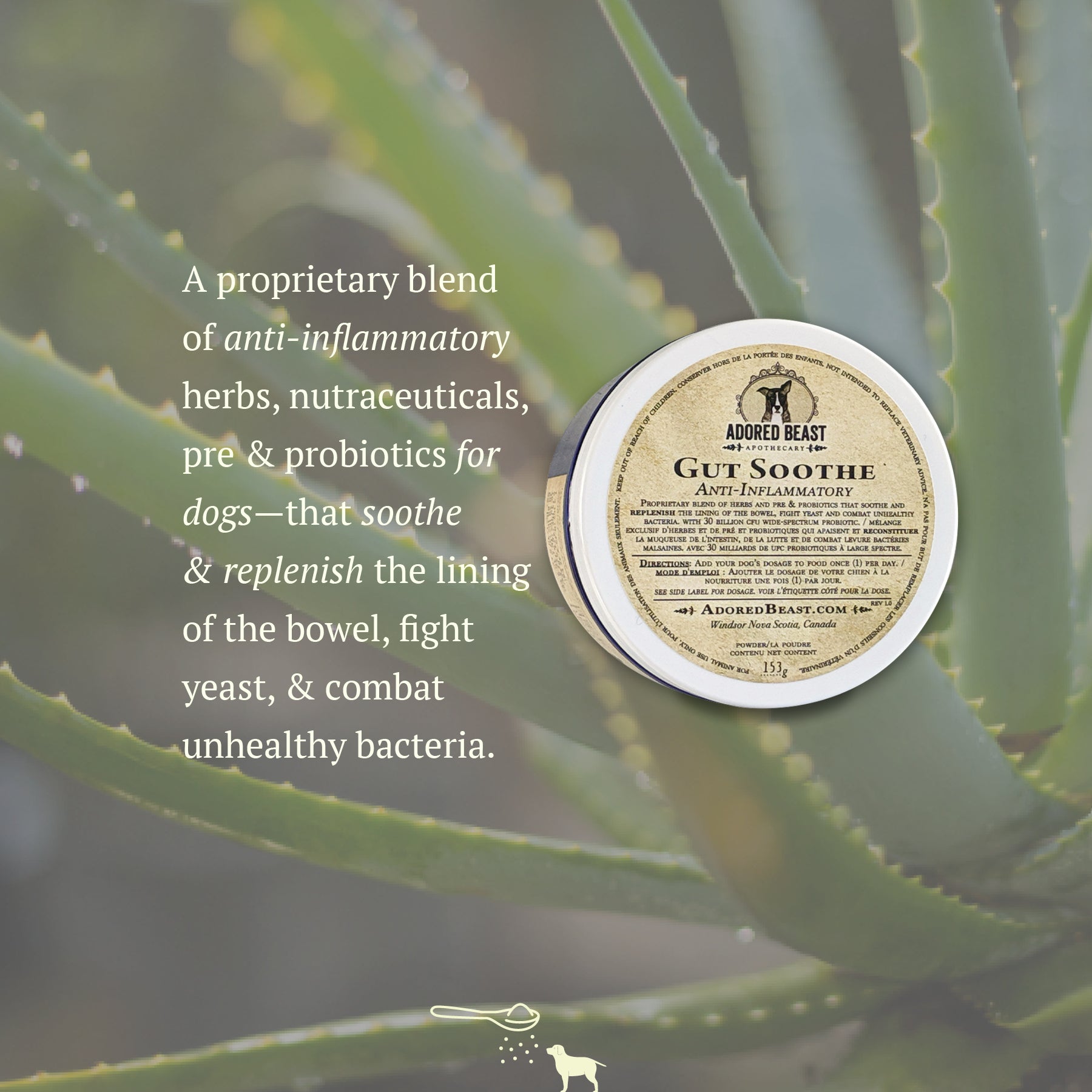Adored Beast Gut Soothe - Anti-Inflammatory (52g/153g)