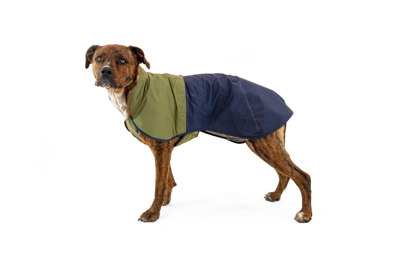 (Pre-Order Only) Ruffwear Sun Shower‚Ñ¢ Reflective Lightweight Dog Raincoat