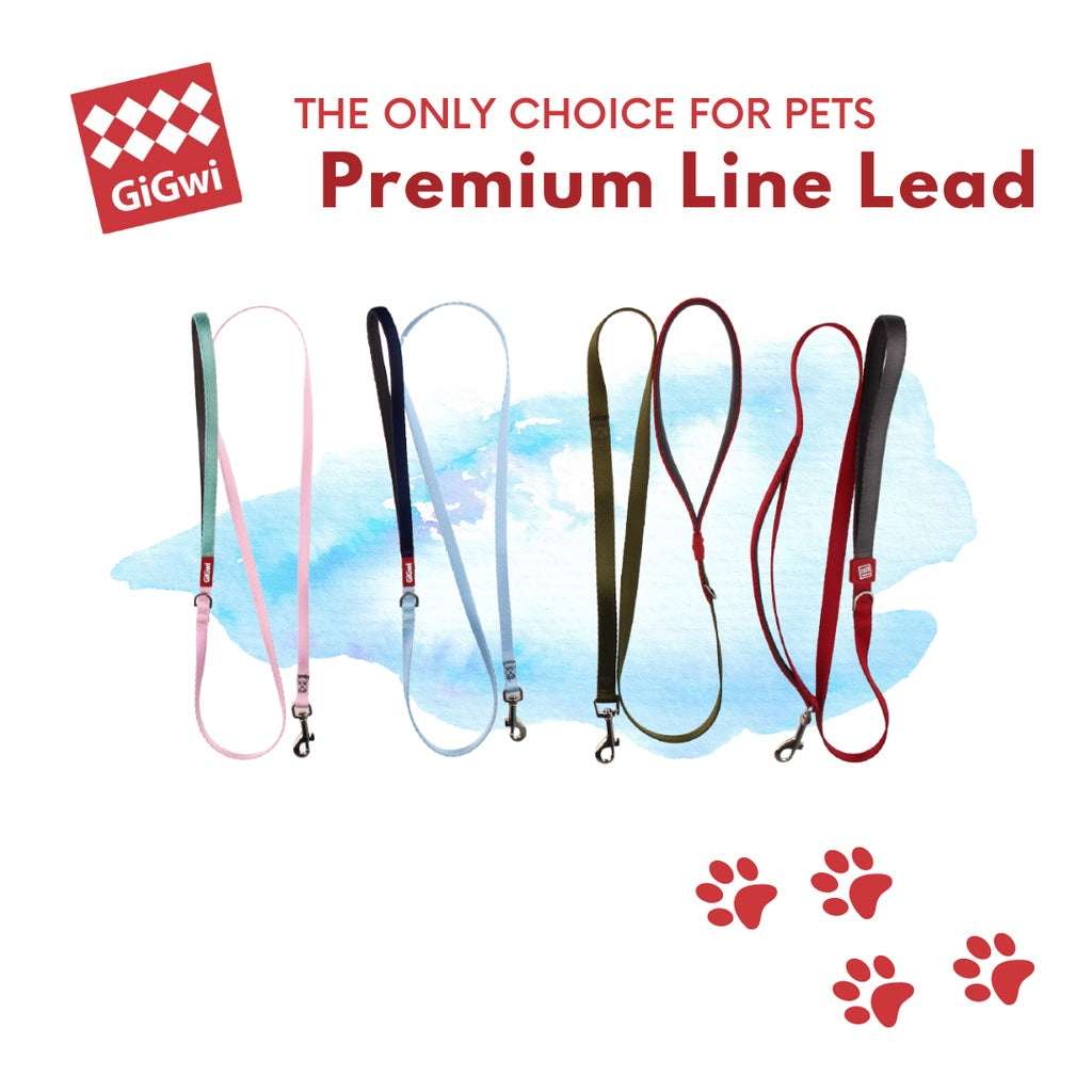 GiGwi Premium Lead — Soft Padded Reflective Dog Leash (S, M, L, XL)