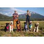 Ruffwear Front Range No-Pull Dog Harness — Padded Everyday Comfort