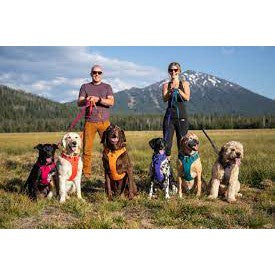 Ruffwear Front Range No-Pull Dog Harness — Padded Everyday Comfort