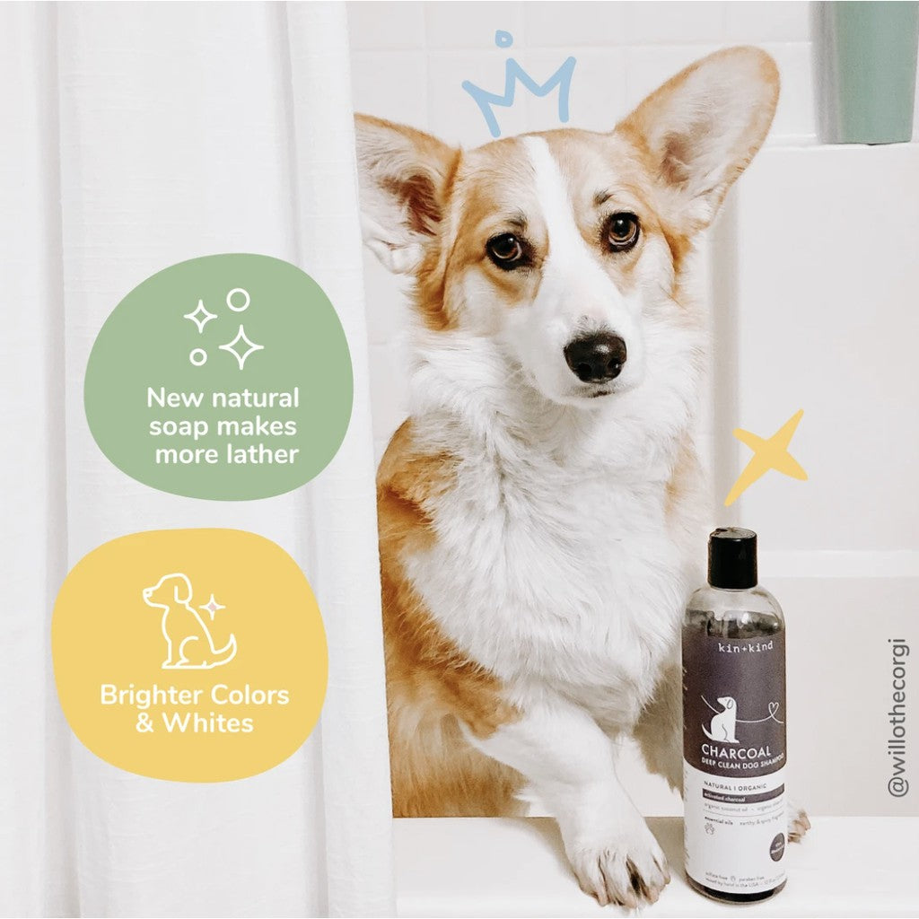 kin+kind Charcoal Natural Shampoo — Patchouli for Dogs (12 fl oz)
