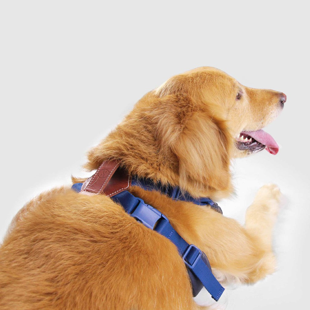 Sputnik Comfort Dog Harness — Breathable Mesh & Genuine Leather (Size S-L)