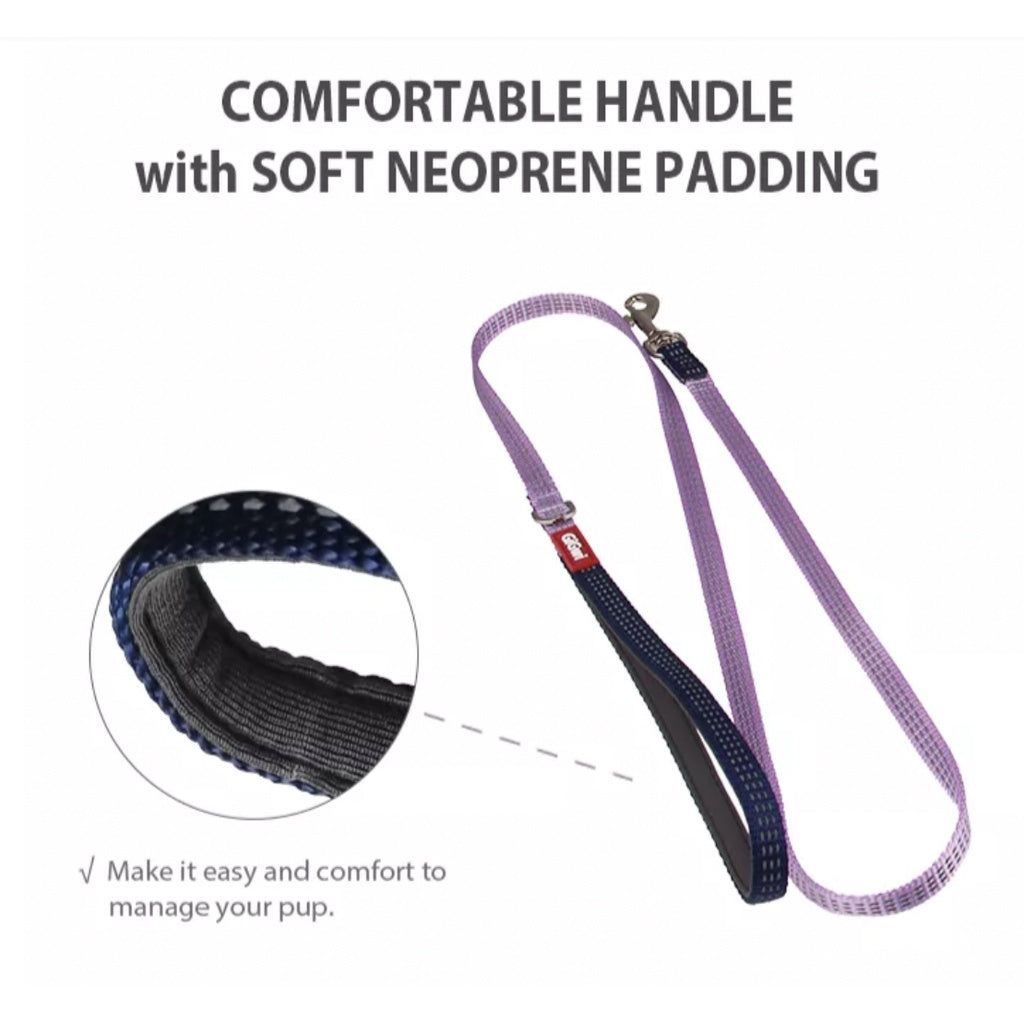 GiGwi Classic Lead - Padded Reflective Leash (S-XL)