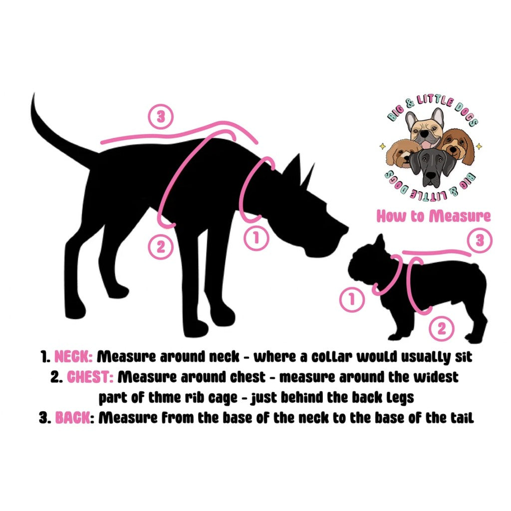 Big & Little Dogs Reversible Dog Harness — Let's Flamingle Print (XS, XL)