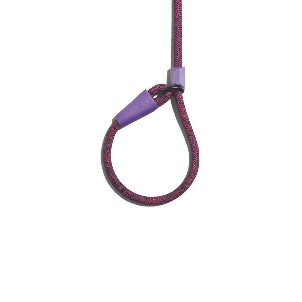 Zee.Dog Slip-On Rope Leash — Collar & Leash in One (One Size)