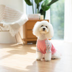 Ohpopdog Heritage Raglan Shirt — Peranakan-Inspired Pattern for Dogs (6 Sizes)