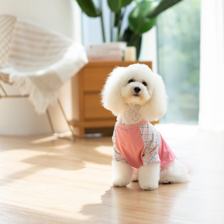 Ohpopdog Heritage Raglan Shirt — Peranakan-Inspired Pattern for Dogs (6 Sizes)