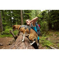 Ruffwear Web Master Harness — Secure Multi-Function Dog Harness with Handle (XXS-L/XL)