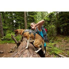 Ruffwear Web Master Harness — Secure Multi-Function Dog Harness with Handle (XXS-L/XL)