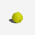 Zee.Dog Rob the Microbe — Treat-Dispensing Floating Fetch Toy