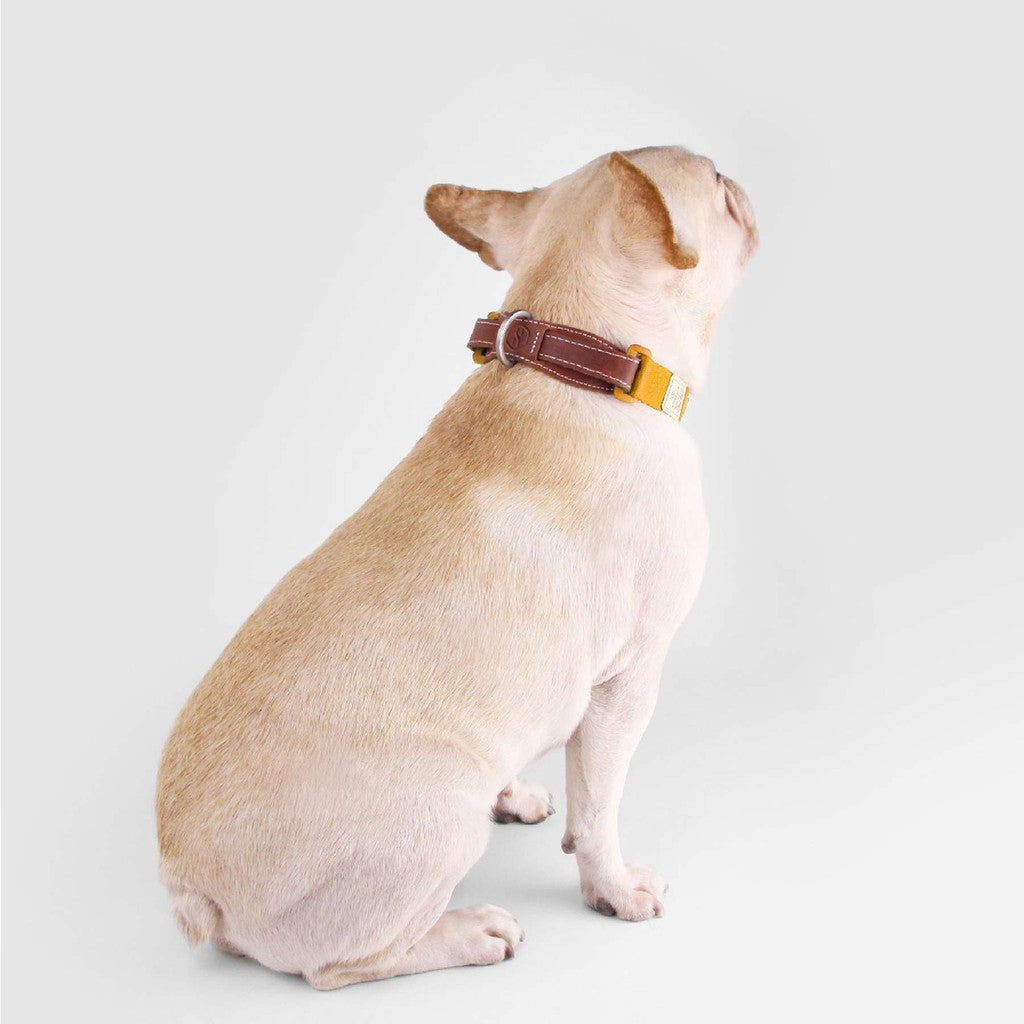 SPUTNIK Dog Collar — Yellow Herringbone Nylon & Genuine Leather (S/M/L)