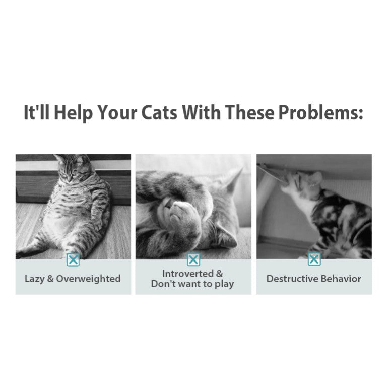 GiGwi Melody Chaser — Interactive Realistic Chirping Cat Toys (3 Styles)