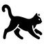 Teen