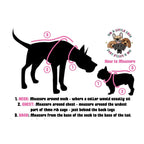 Big & Little Dogs Everyday Dog Harness — Ultra-Soft Eco-Friendly Mesh (L, XL)