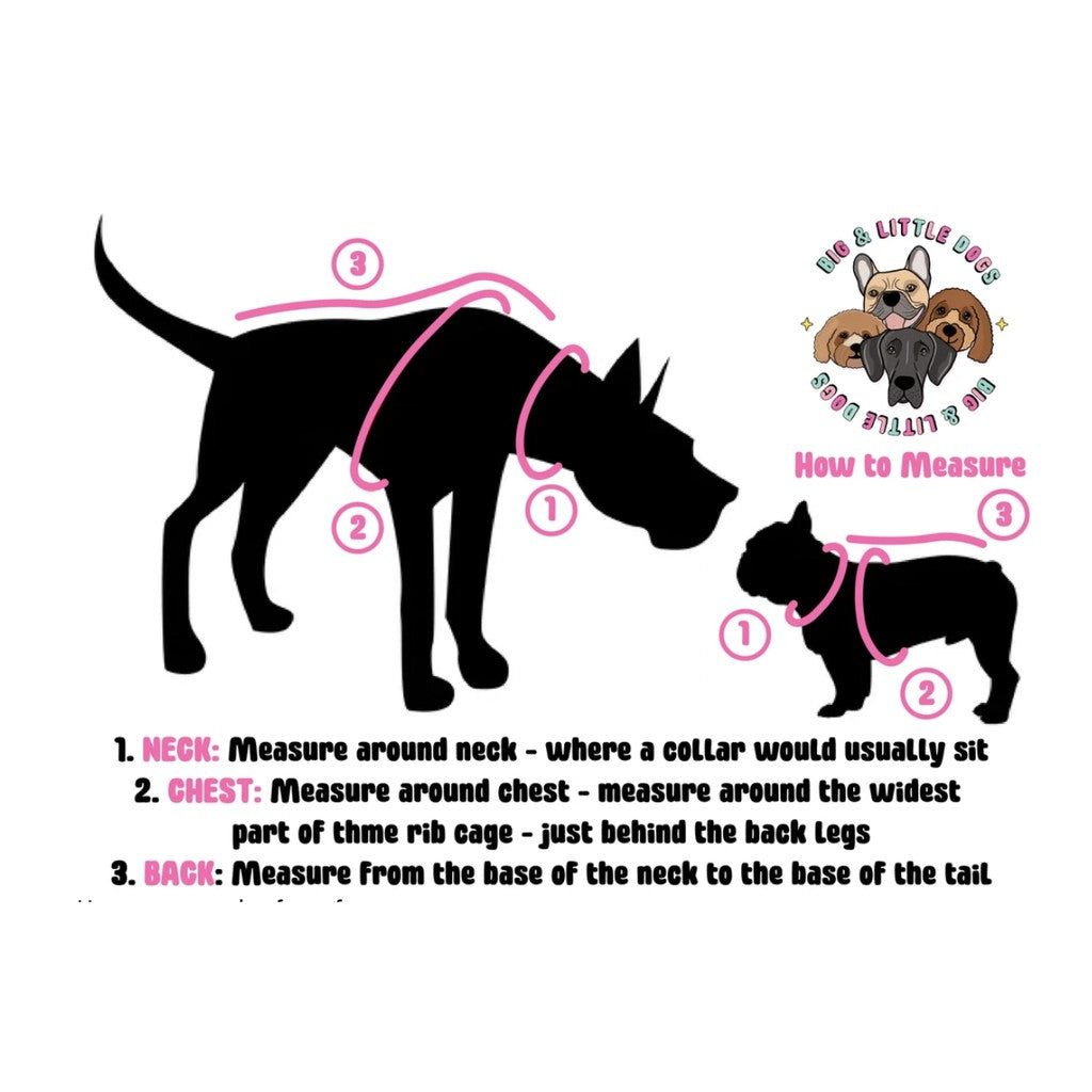 Big & Little Dogs Everyday Dog Harness — Ultra-Soft Eco-Friendly Mesh (L, XL)