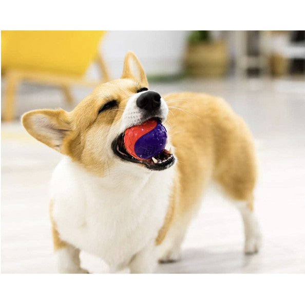 GiGwi Ball Series — Bouncy Interactive Dog Toy Ball