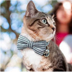 Dharf Cat Bow Tie Set — Black & White Breakaway Collar (20-29cm)