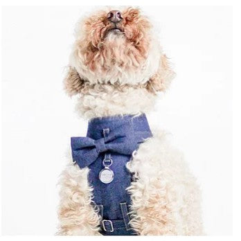 Dharf Denim Dog Harness — Detachable Bow-Tie for Dapper Dogs