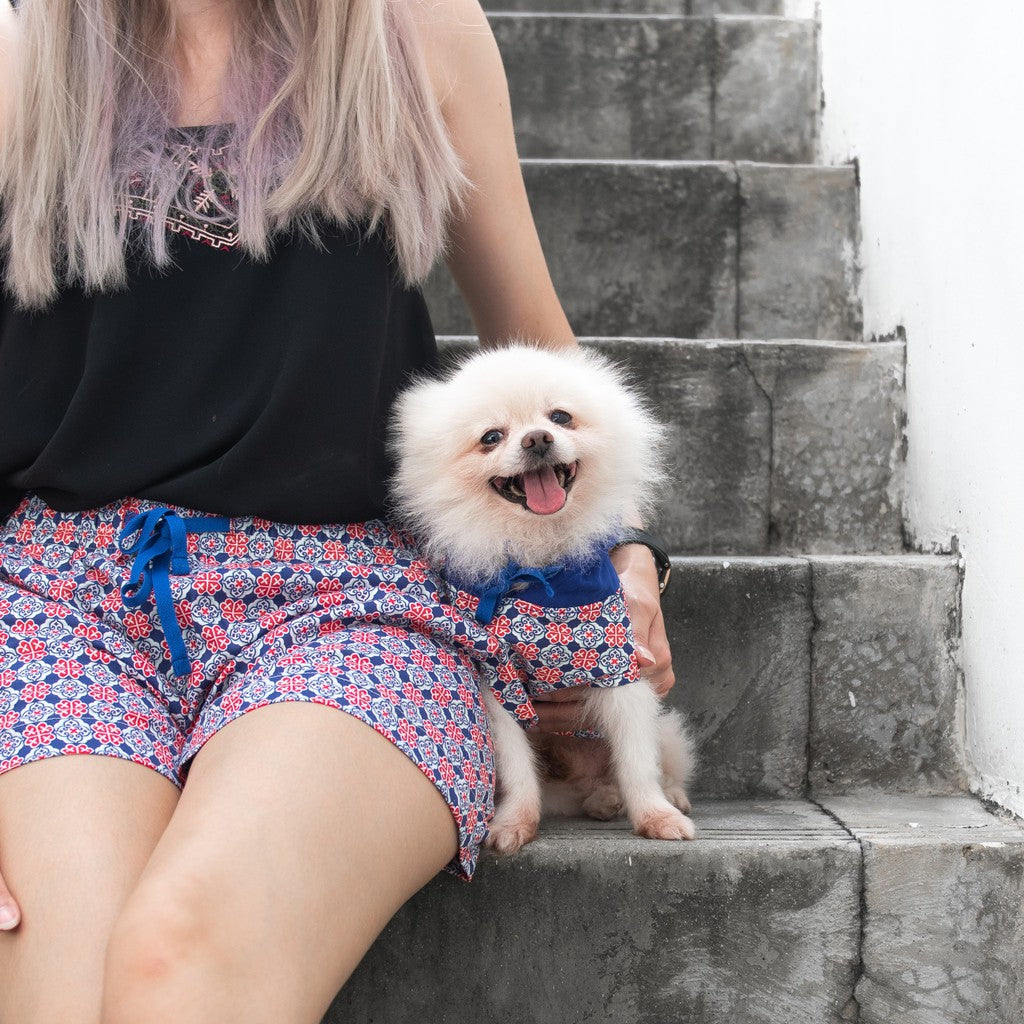 Ohpopdog Matching Shorts for Pet Owners — Royal Blue (S, M, L)