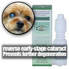 Dr. Reckeweg Cineraria Maritima Eye Drops for Dogs — Homeopathic Cataract Care (10ml)