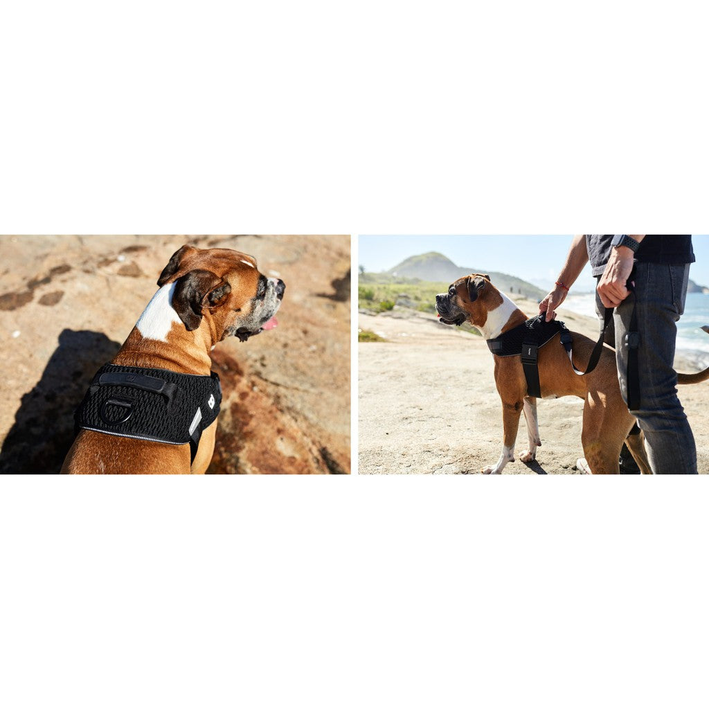 Zee.Dog FlyHarness — Ultra-Lightweight Reflective Dog Harness (5 Sizes)