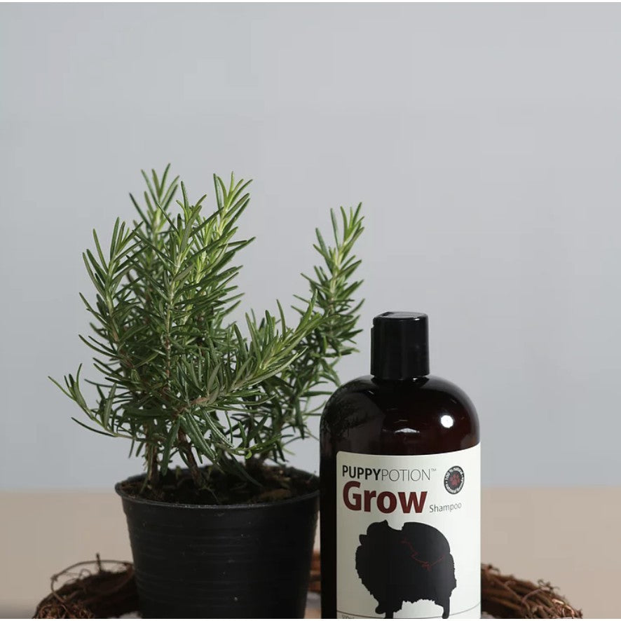 Doggypotion Shampoo 500ml — Natural Soothing Scents for Dogs & Cats