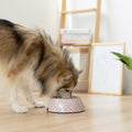 Ohpopdog Bibik Pink 14 Pet Bowl – Non-Slip Design with Stainless Steel Insert (3 Sizes)