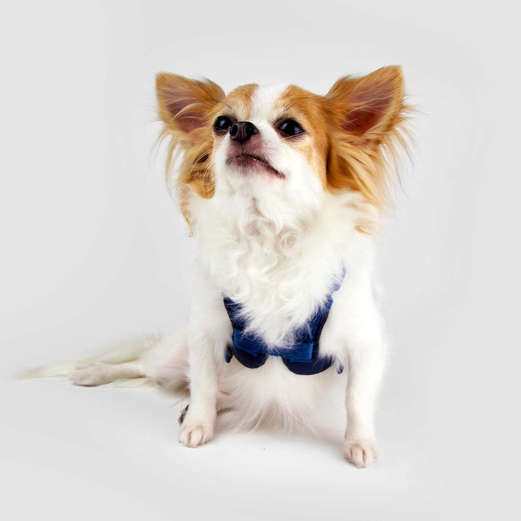 Sputnik Comfort Dog Harness — Breathable Mesh & Genuine Leather (Size S-L)