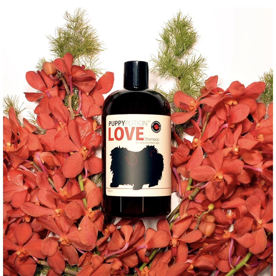 Doggypotion Shampoo 500ml — Natural Soothing Scents for Dogs & Cats
