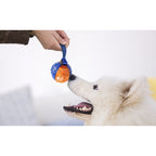 GiGwi Push to Mute Series — Interactive Squeaky Toy Collection for Dogs & Cats