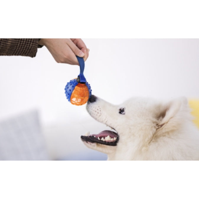 GiGwi Push to Mute Series — Interactive Squeaky Toy Collection for Dogs & Cats