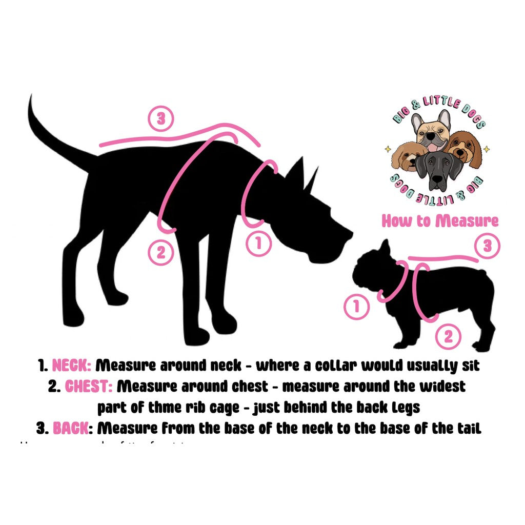 Big & Little Dogs Adjustable Dog Harness — Custom Printed Neoprene (Blue Racoon)