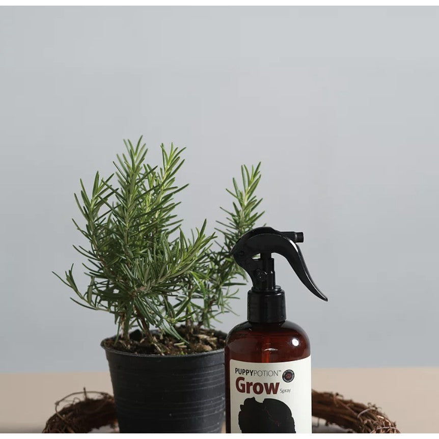 Doggypotion Conditioning Spray — Multi-Scent Grooming Spray for Dogs (250ml)