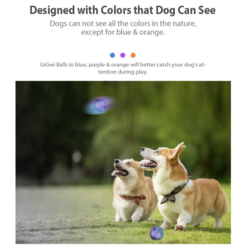 GiGwi Ball Series — Bouncy Interactive Dog Toy Ball