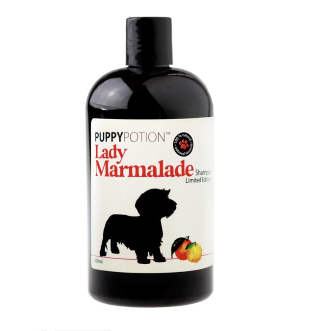Doggypotion Shampoo 500ml — Natural Soothing Scents for Dogs & Cats