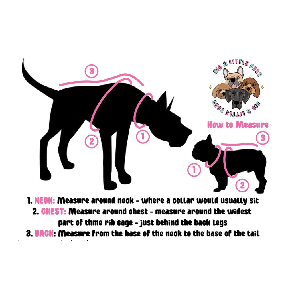 Big & Little Dogs Reversible Dog Harness — Scaled Back (S-XL)
