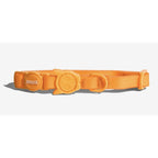 Zee.Dog NeoPro Cat Collar — Waterproof Breakaway Safety Collar (One Size)