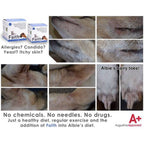 Augustine Approved Faith Cleanse & Detox — Herbal Supplement for Dogs & Cats