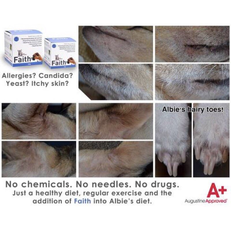 Augustine Approved Faith Cleanse & Detox — Herbal Supplement for Dogs & Cats