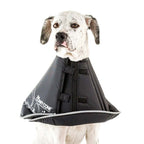 Comfy Cone E-Collar — Soft Recovery Cone for Dogs & Cats (7 Sizes)