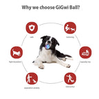 GiGwi Ball Series — Bouncy Interactive Dog Toy Ball