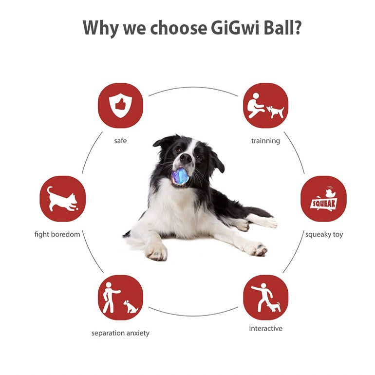 GiGwi Ball Series — Bouncy Interactive Dog Toy Ball
