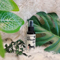 DoggyPotion Bug Repellent Spray — DEET-Free Natural Protection for Dogs (100ml)