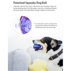 GiGwi Ball Series — Bouncy Interactive Dog Toy Ball